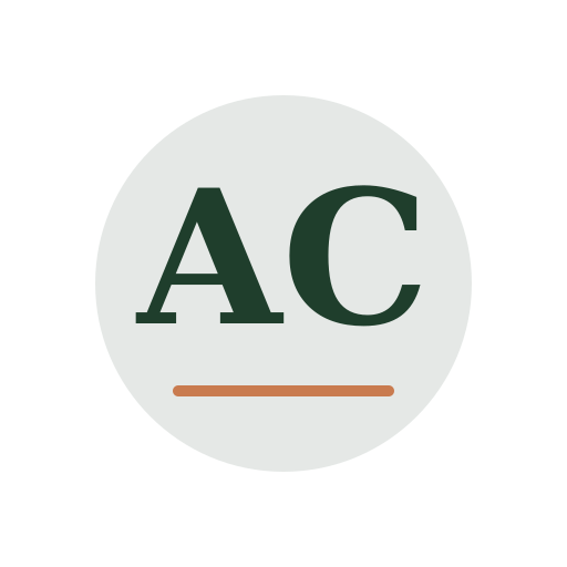 Anderson Chimney Services logo